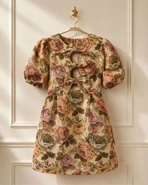NWOT Jacqui the Label floral tapestry babydoll mini dress, $158 Sz XS